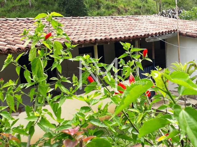 Sítio para Venda em São José dos Campos - 4